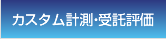�J�X�^���v���E����]��