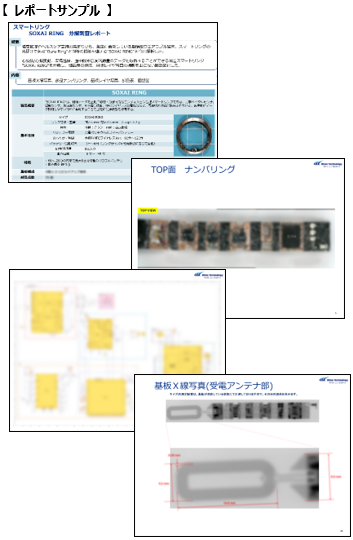 レポートサンプル